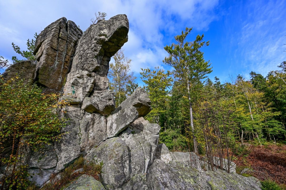 La nature à l'état pur – Steinwald Partie 1
