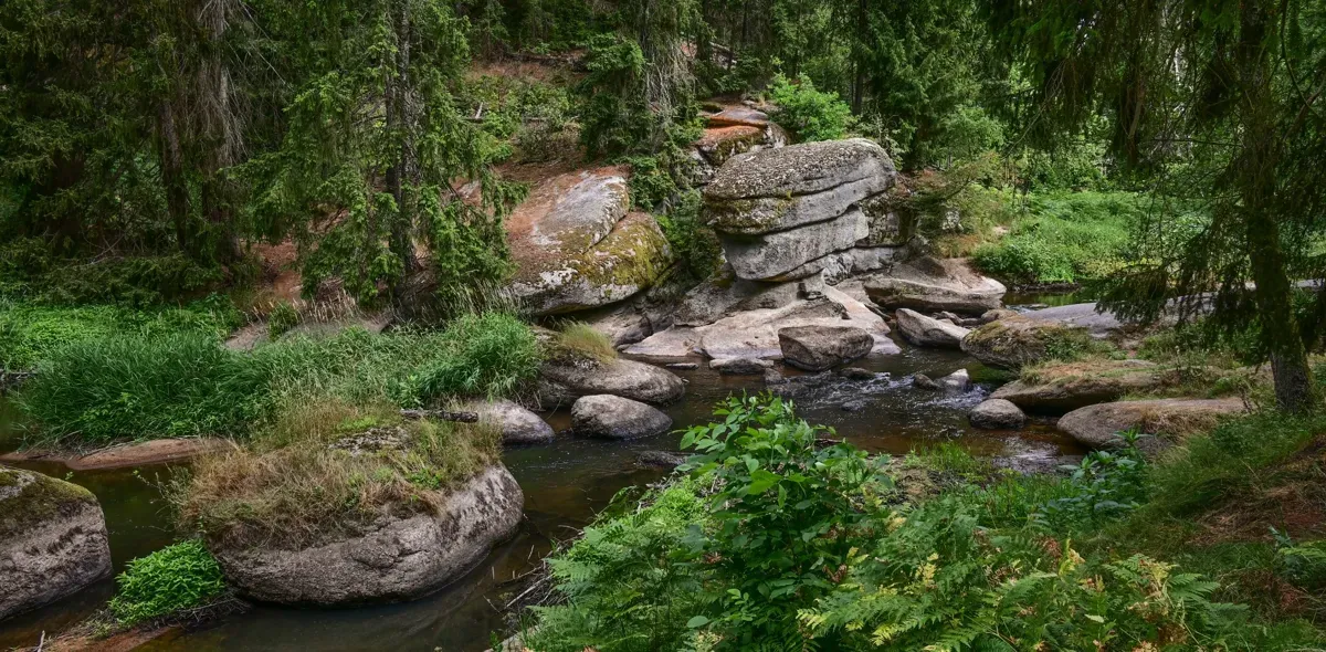 Le long de la rive enchanteresse de la Waldnaab.
