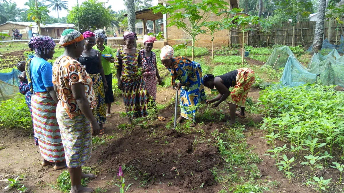 Frauen aus Benin lernen den Anbau heimischer Gemüsesorten